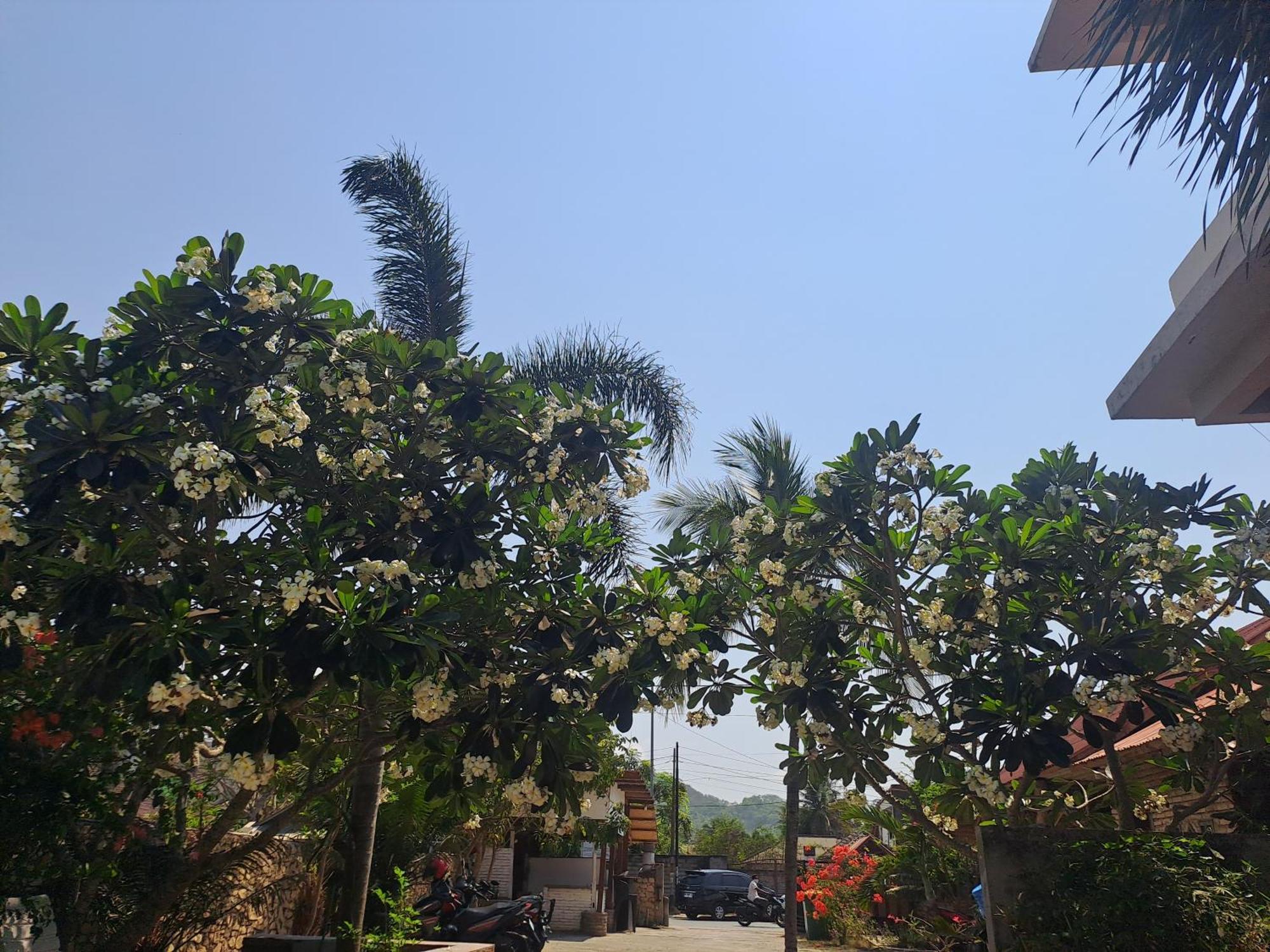 Kutabay Homestay Kuta  Exterior foto